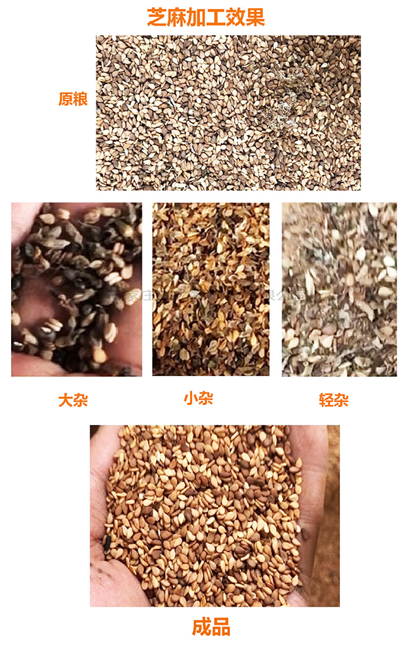 芝麻筛选效果600.jpg