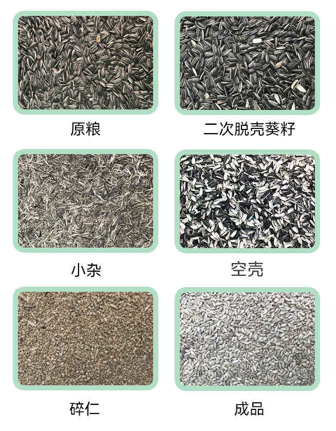 1769147501618408.jpg 葵花籽脱壳生产线小程序.jpg