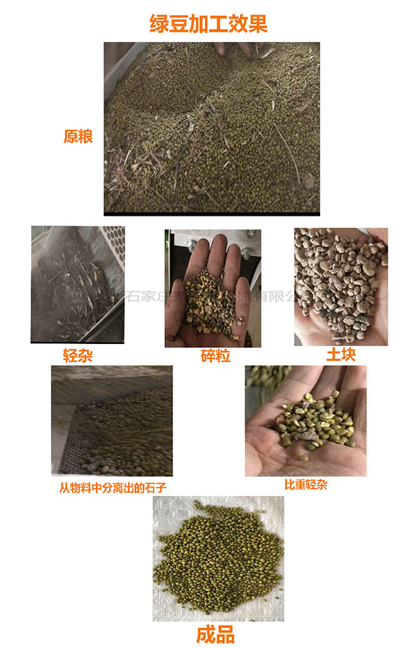 绿豆生产线效果图.jpg